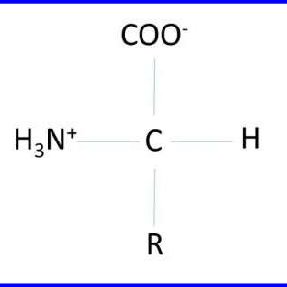 <p>recognize this structure</p>