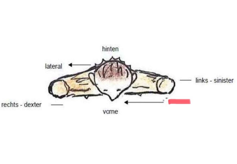 <p>Richtungsbeschreibung </p>