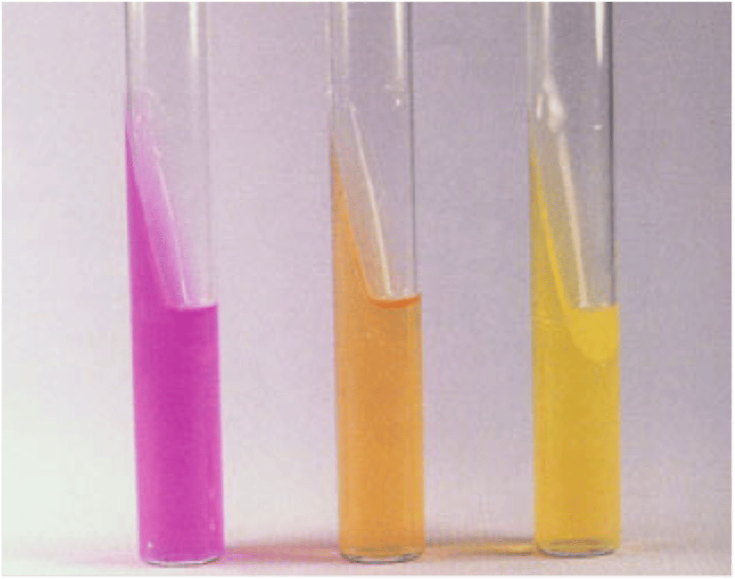 <p>What is this?</p>