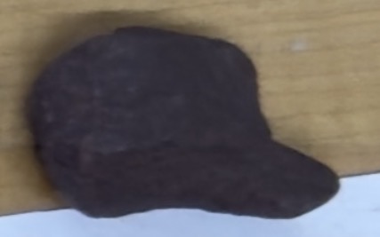 <p>Can be shiny or not, red/reddish brown</p>