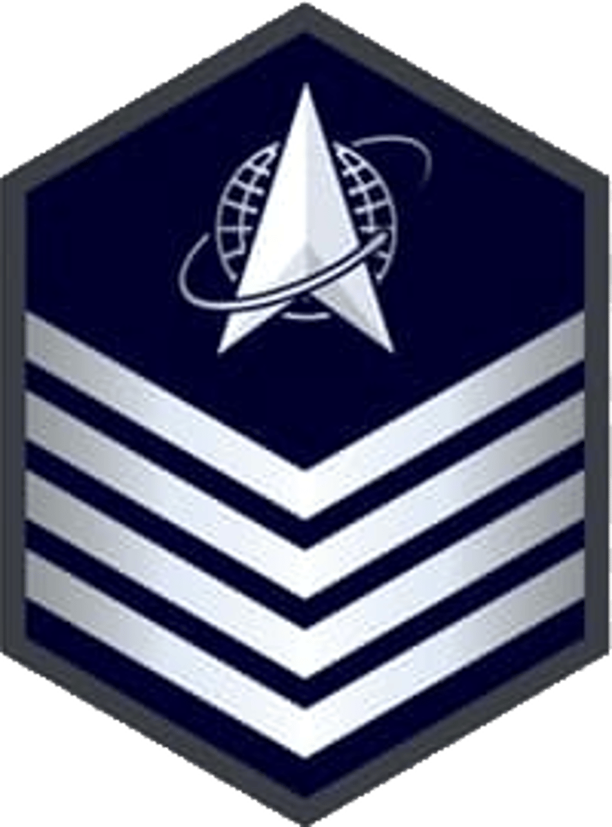 <p>non commissioned officer</p>