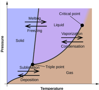 <p><u>Phase Changes</u></p><p><em>WORD BANK: Sublimation, Condensation, Deposition, Freezing (Crystallization or Solidification), Vaporization (Evaporation or Boiling), Melting (Fusion)</em></p><p>——</p><p>the phase changes that occur at the boundary between the SOLID and the LIQUID phases (2)</p>