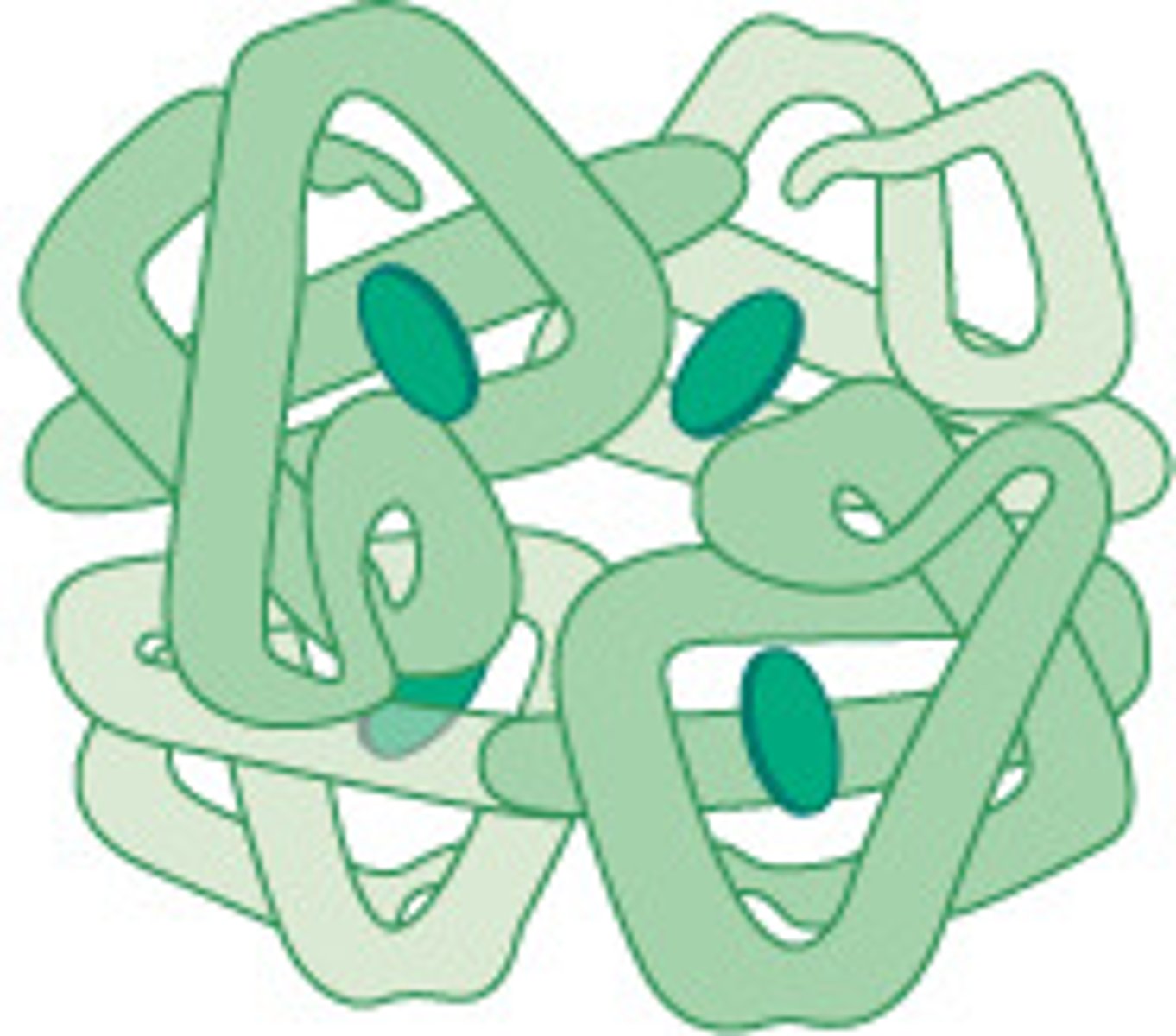 <p>globular proteins</p>