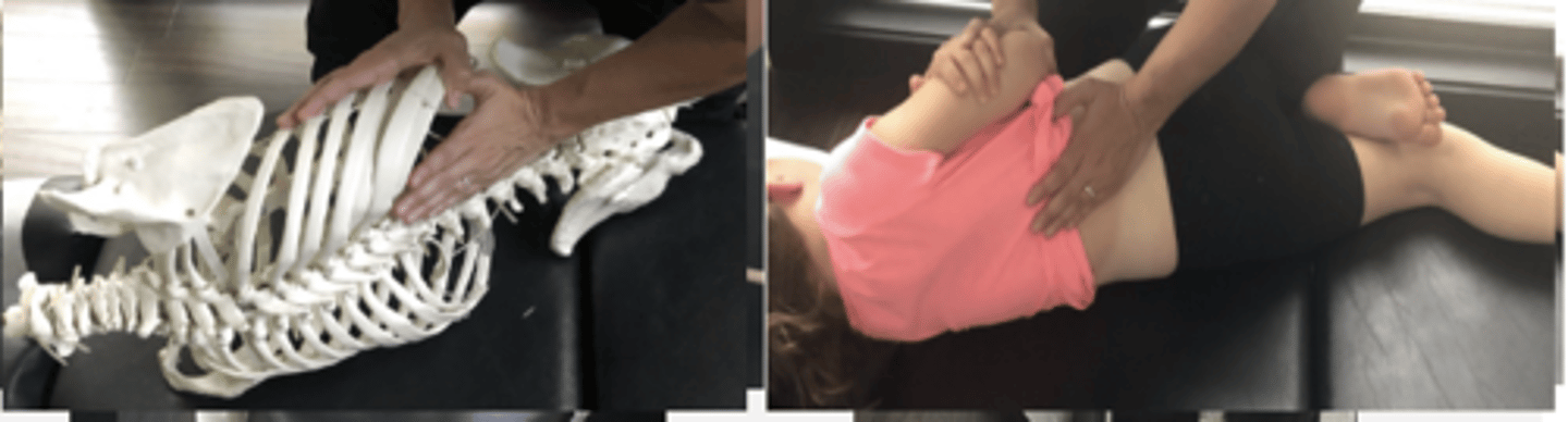 <p>PP: Basic side posture position with the dysfunctional side up-verbalize how you found the segment</p><p>DP: Modified fencer stance on side of dysfunction</p><p>CH: Caudal (L) hand, hypothenar contacts dys segment MP (L3 MP) with fingers parallel to spine</p><p>IH: Cephalic (R) hand slight upward traction holding the pt's up-side shoulder or overlapping hand</p><p>LOD: P-A, slight I-S</p>