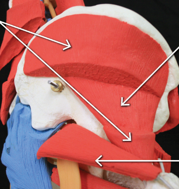 <p>upper and 3 arrow down</p>