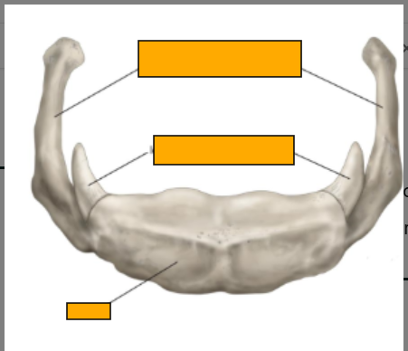 <p>Which bone is this, label clockwise </p>