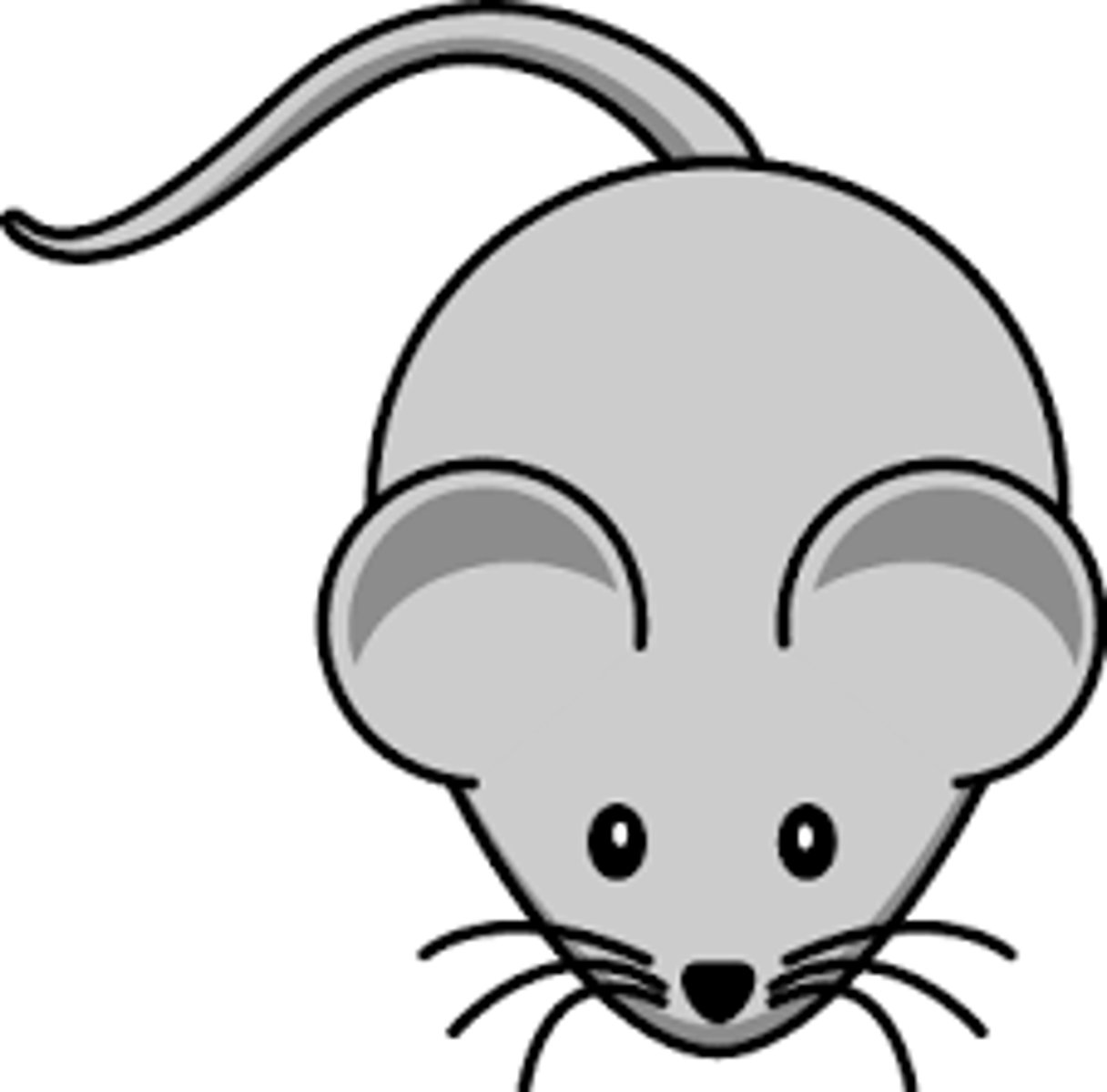 <p>mouse</p>