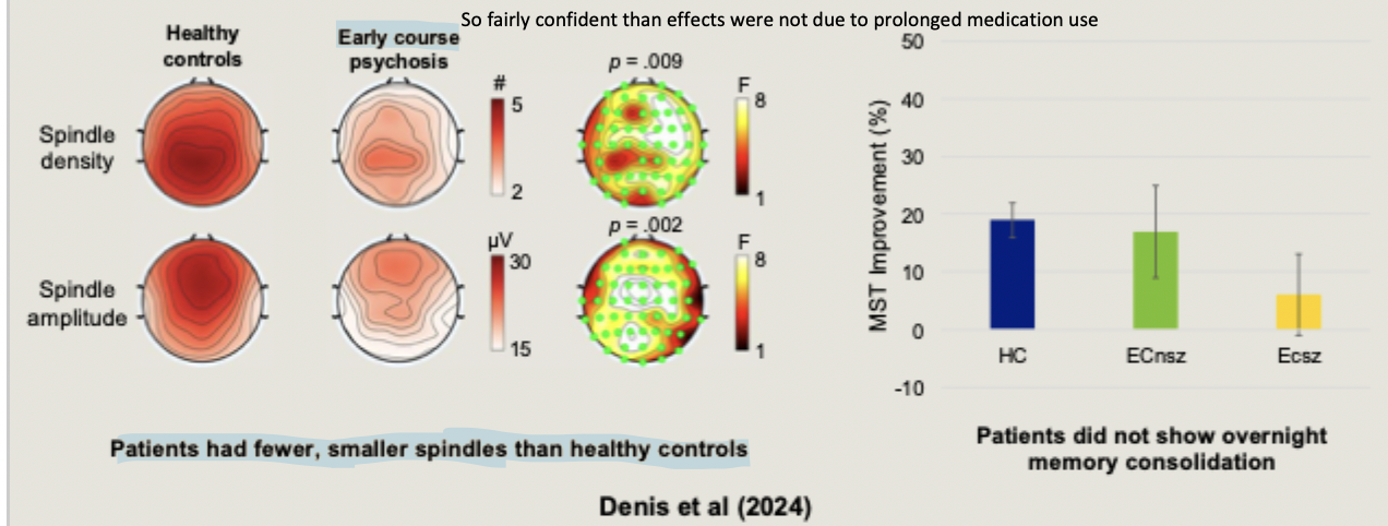 <ul><li><p>patients had fewer, smaller spindles than healthy controls</p></li><li><p>did not show overnight memory consolidation</p></li></ul><p></p>