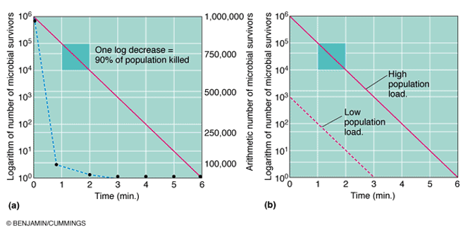 <ul><li><p>when the bacterial populations are heated or treated antimicrobial chemicals, they usually die at a constant rate</p></li></ul><p></p>
