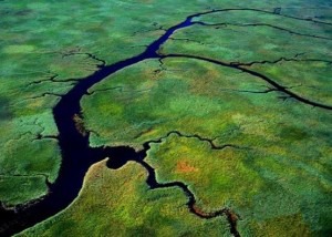 smaller streams and rivers that flow into a main river