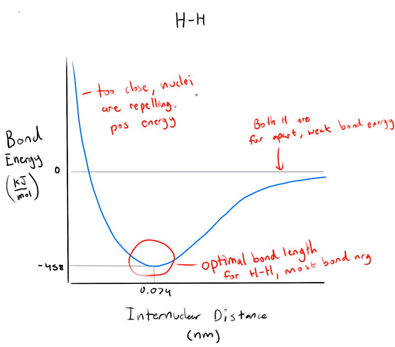 <p>Lower the energy, more energy needed to break the bond</p>