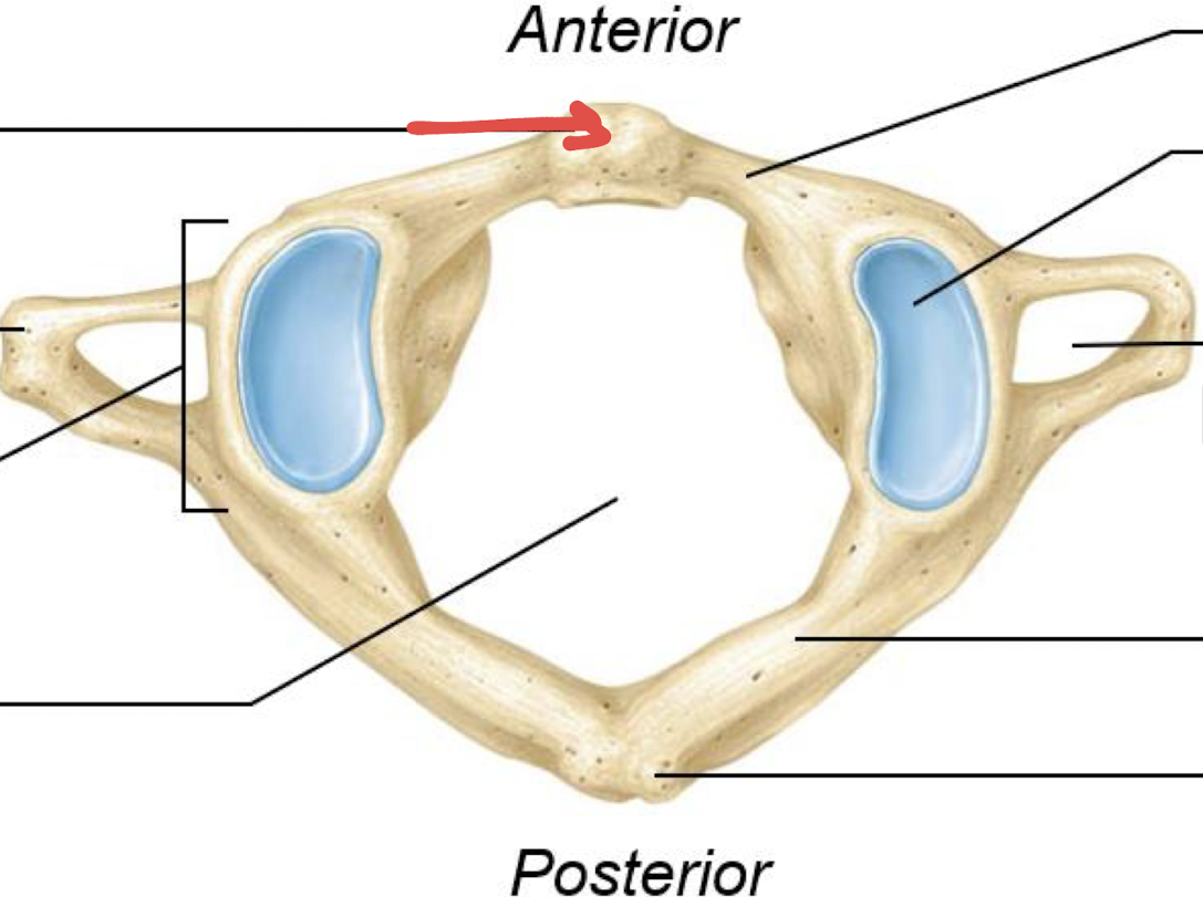 <p>what is this?</p>