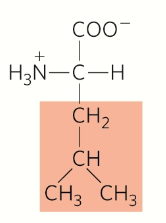 <p>Nonpolar, aliphatic</p>
