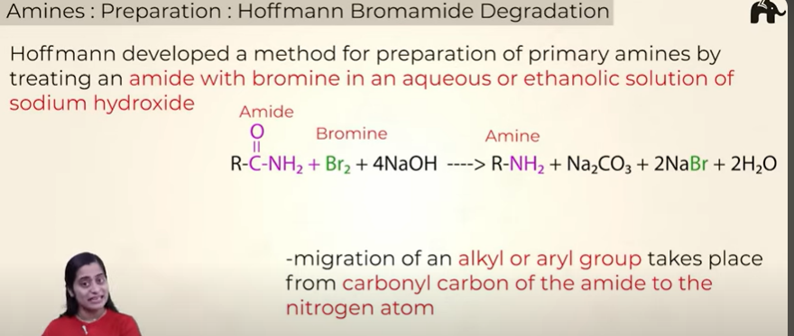 <ul><li><p>the no of C in amine is one less than that it amide </p></li><li><p>only primary amines can be made </p></li></ul><p></p>