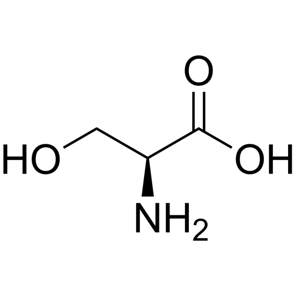 <p>Amino Acid </p>
