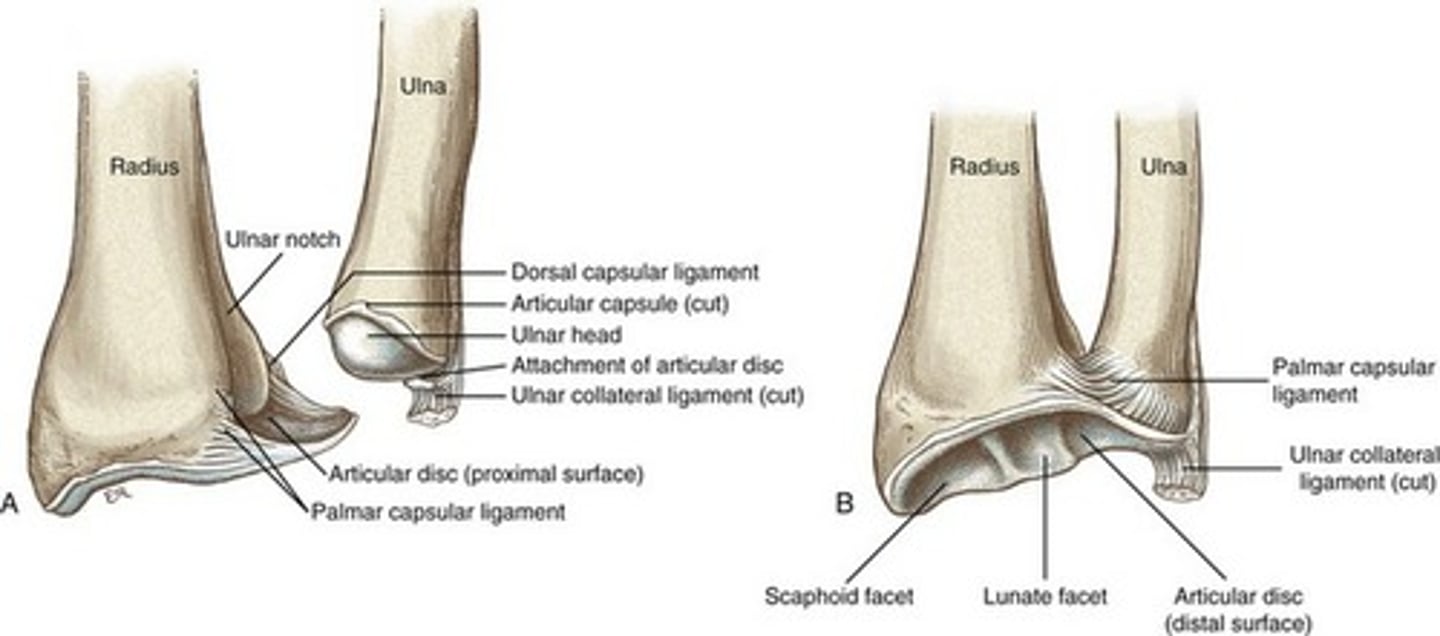 <p>Moving component: radius, concave moving on convex, osteo/arthrokinematic motion occurs in the same direction</p>