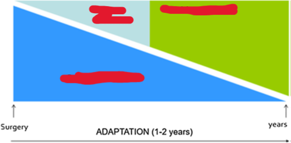 <p><span style="color: red"><strong>How is the adaptation phase of SBS managed? (aka describe how PN, EN, and Nutrition by mouth are managed from surgery to 1-2 years after)</strong></span></p>