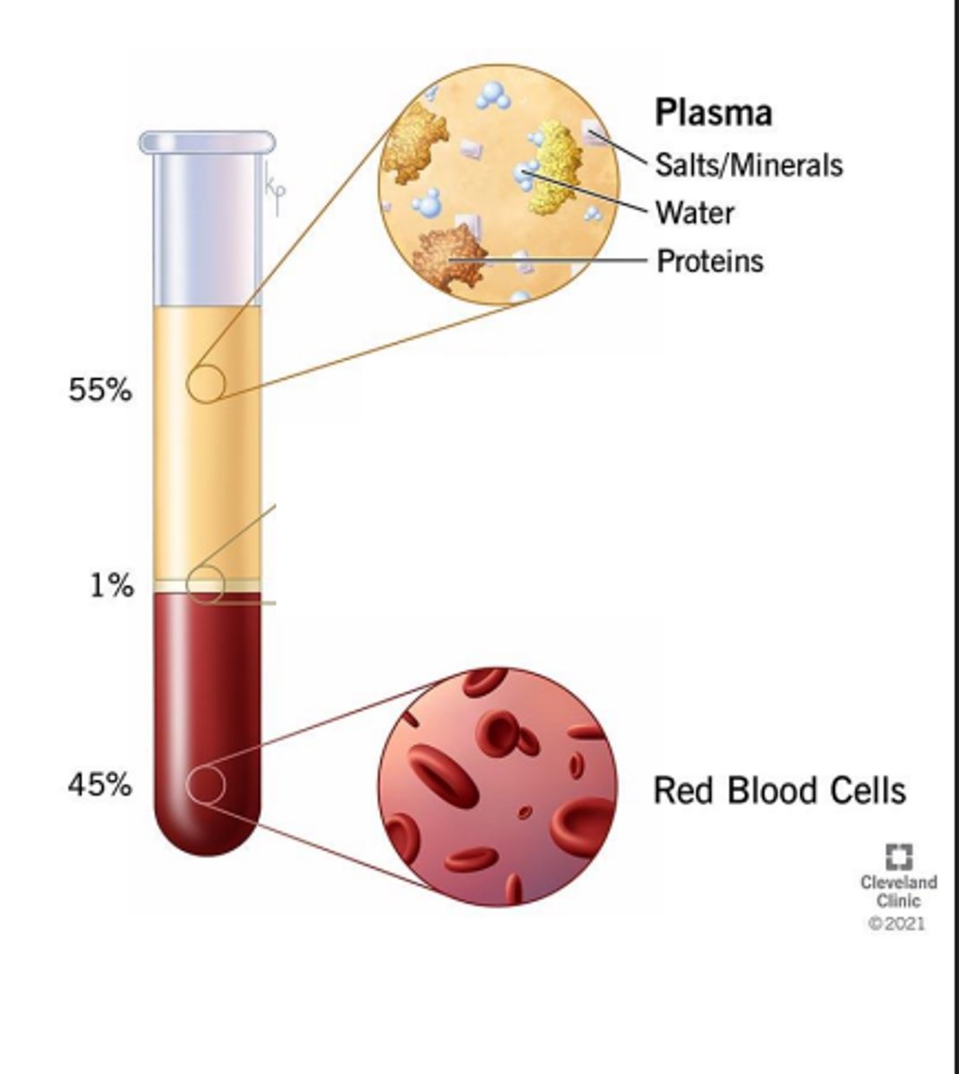 <p>intracellular (cytoplasm/within cell), extracellular fluid (blood plasma, interstitial fluid)</p>