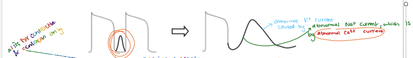 <p>DAD — Abnormal 2nd action potential: </p><ul><li><p>Abnormal (early) Ca2+ current ==&gt; Abnormal Na+ current ==&gt; Abnormal K+ current</p></li></ul><p></p>