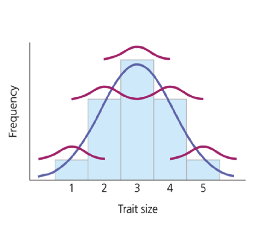 <p>Heritability</p>
