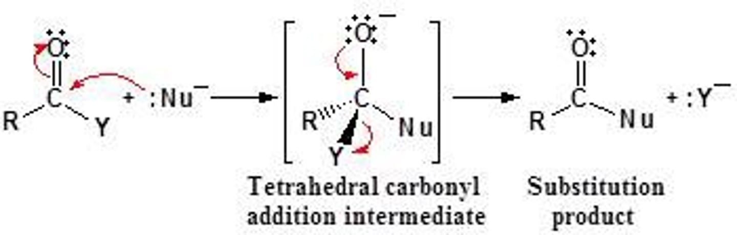 <p>-SN1 and SN2</p><p>- Reactions in which the halogen is replaced by some other atoms or a group</p>