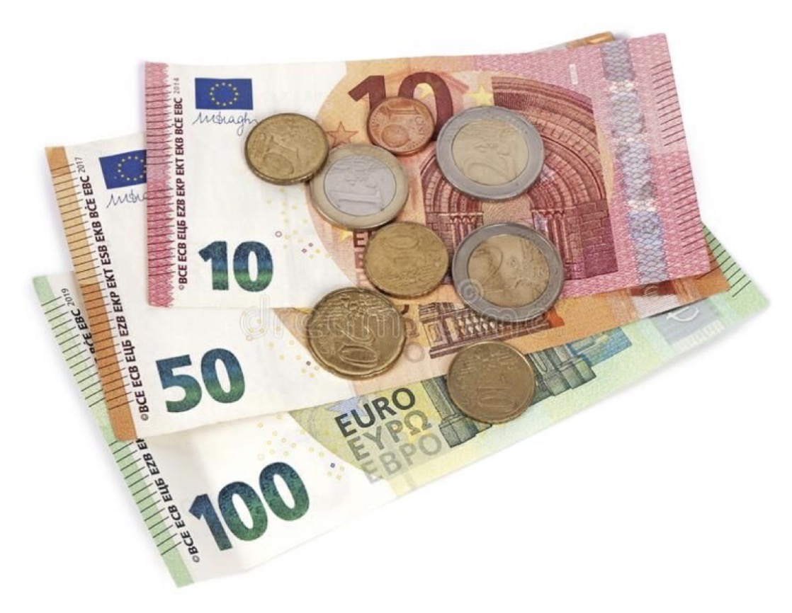 <p>der Euro, die Euros</p>