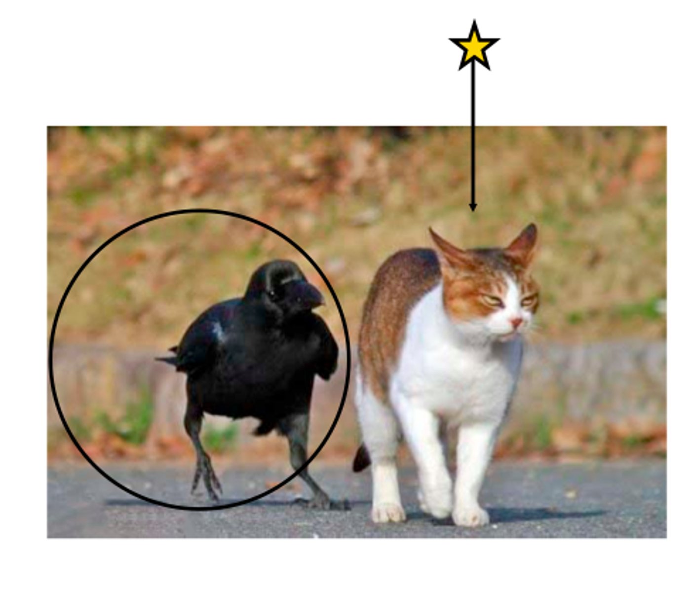 <p>páng biān</p><p>[n] beside, side, nearby</p>