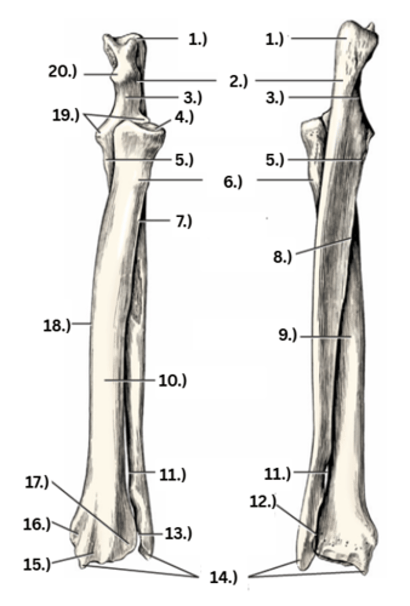 <p>6</p>