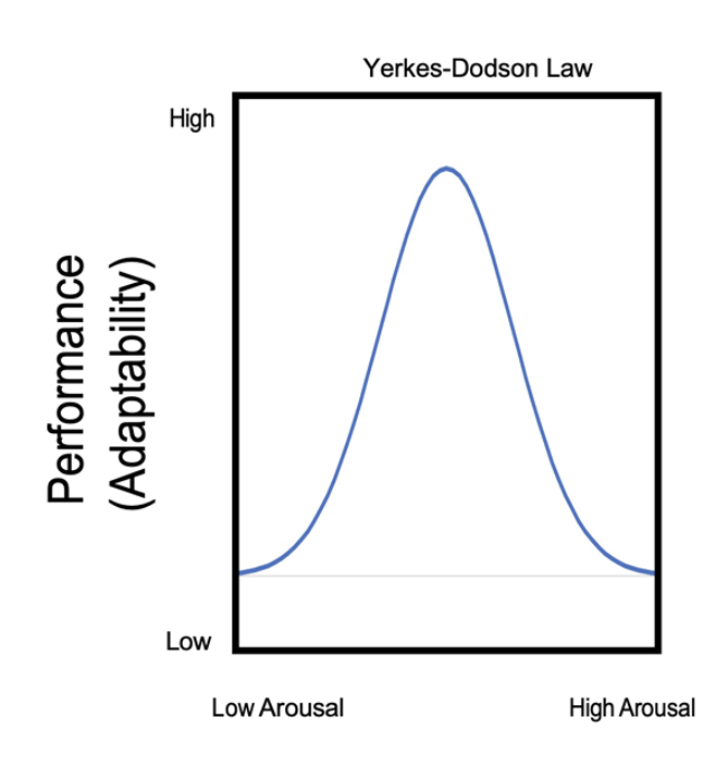 <ul><li><p>Only medium levels of arousal provide suitable conditions </p></li><li><p>Overarousal and underarousal interfere with performance  particularly in complex tasks </p></li></ul>