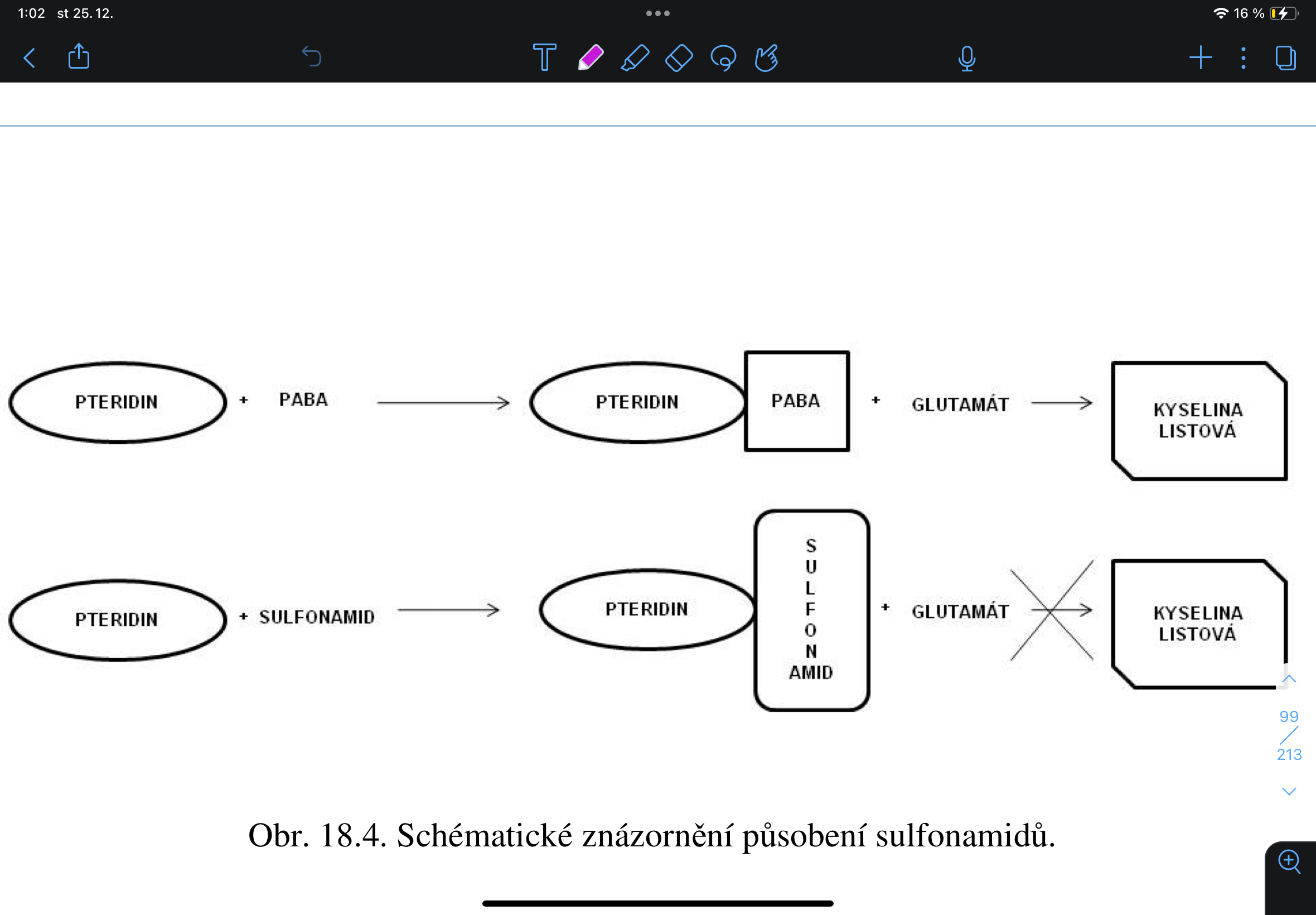 knowt flashcard image