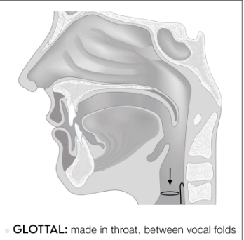<p>made in throat, between vocal folds</p>