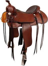 <p>Which saddle is pictured?</p>