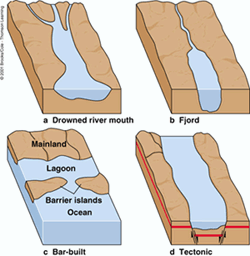 <p>drowned river valley</p>