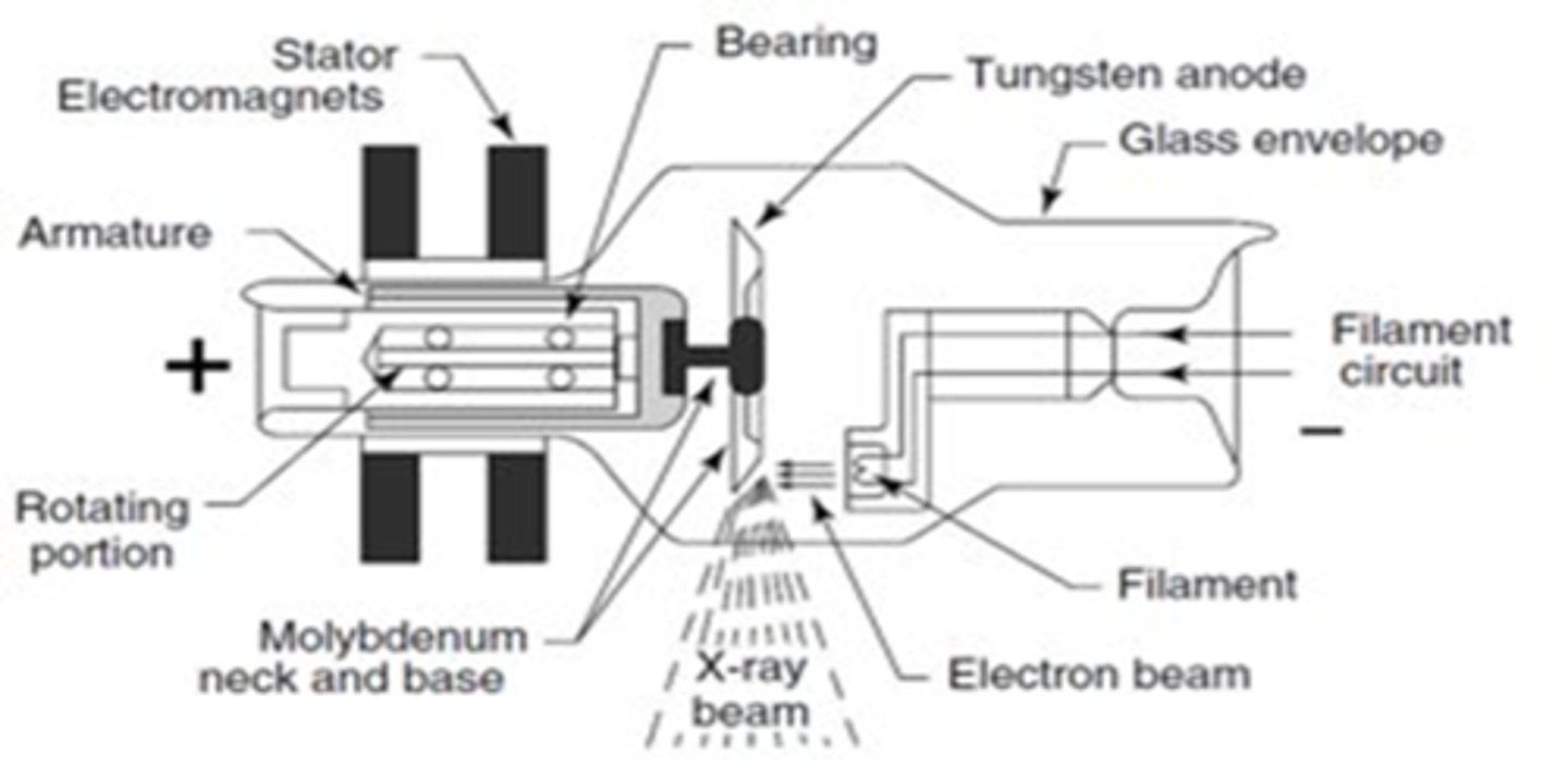 <p>x-rays</p>