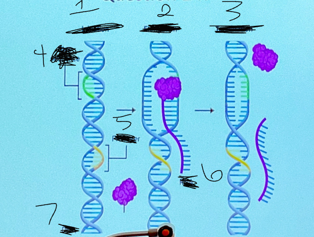 <p>What is 3?</p>