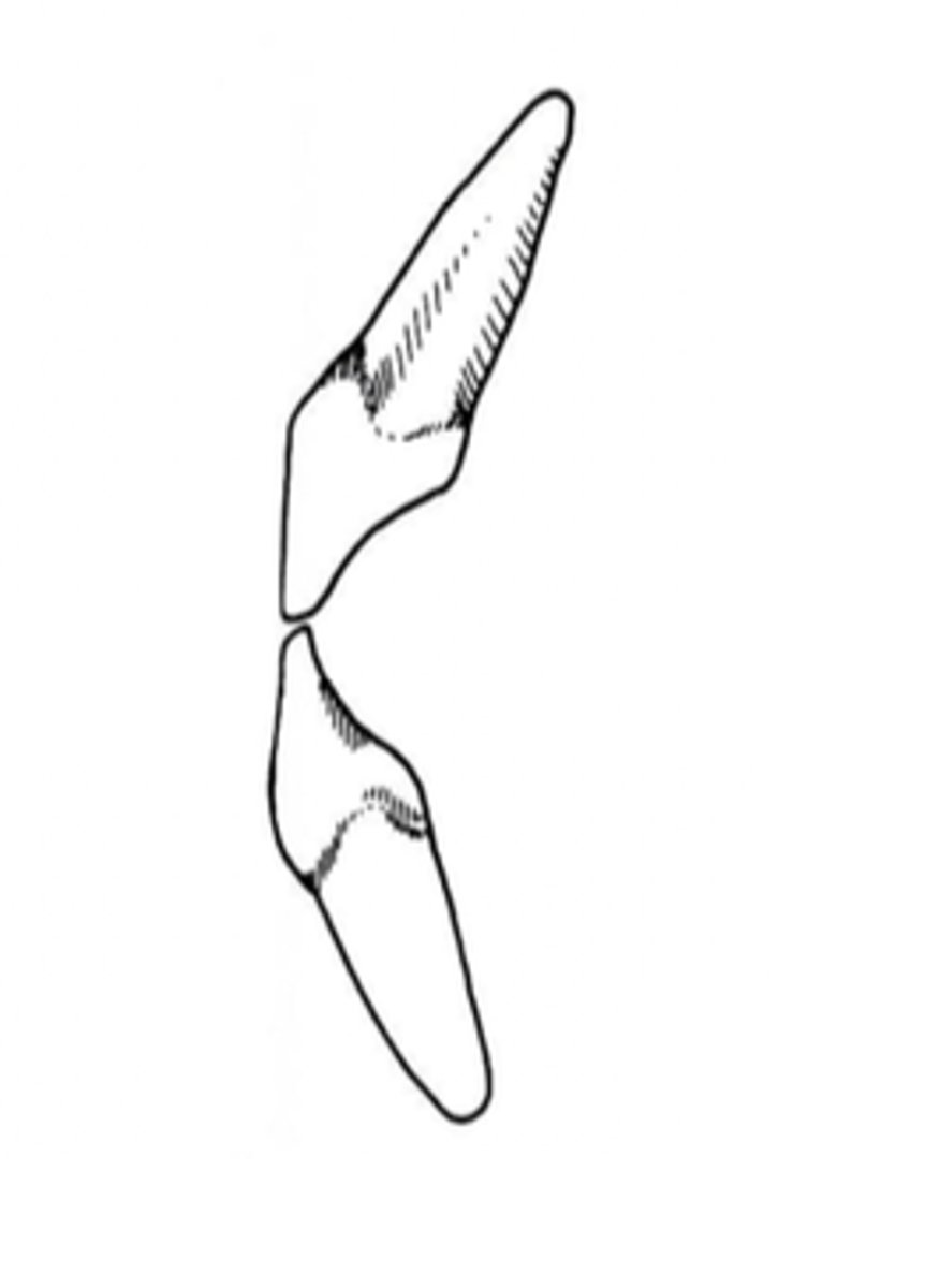<p>what class</p>