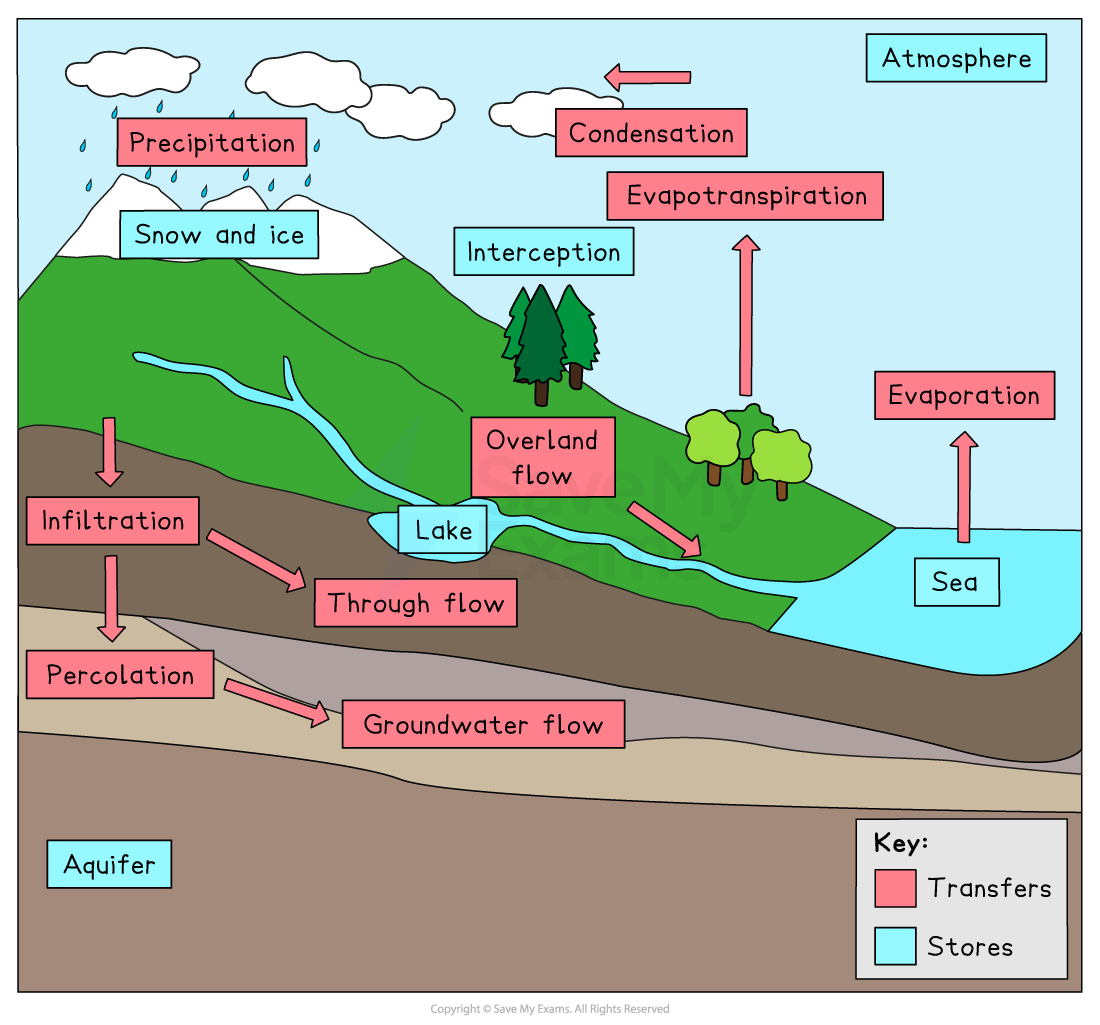 <p><span>- Water in the atmosphere (vapour or droplets in clouds).</span></p><p style="text-align: start"><span>&nbsp;&nbsp; - Surface stores (puddles, lakes, rivers, reservoirs).</span></p><p style="text-align: start"><span>&nbsp;&nbsp; - Interception (water caught on leaves or branches).</span></p><p style="text-align: start"><span>&nbsp;&nbsp; - Aquifers (water held in permeable rocks).</span></p><p style="text-align: start"><span>&nbsp;&nbsp; - Ice, snow, seas, and oceans.</span></p>