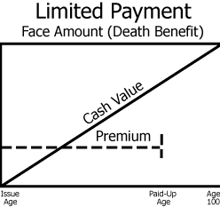 <p>What type of whole life policy is depicted with this graph</p>