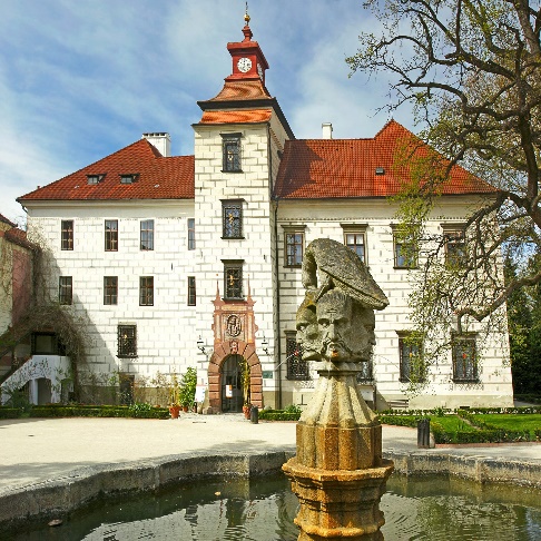 term image