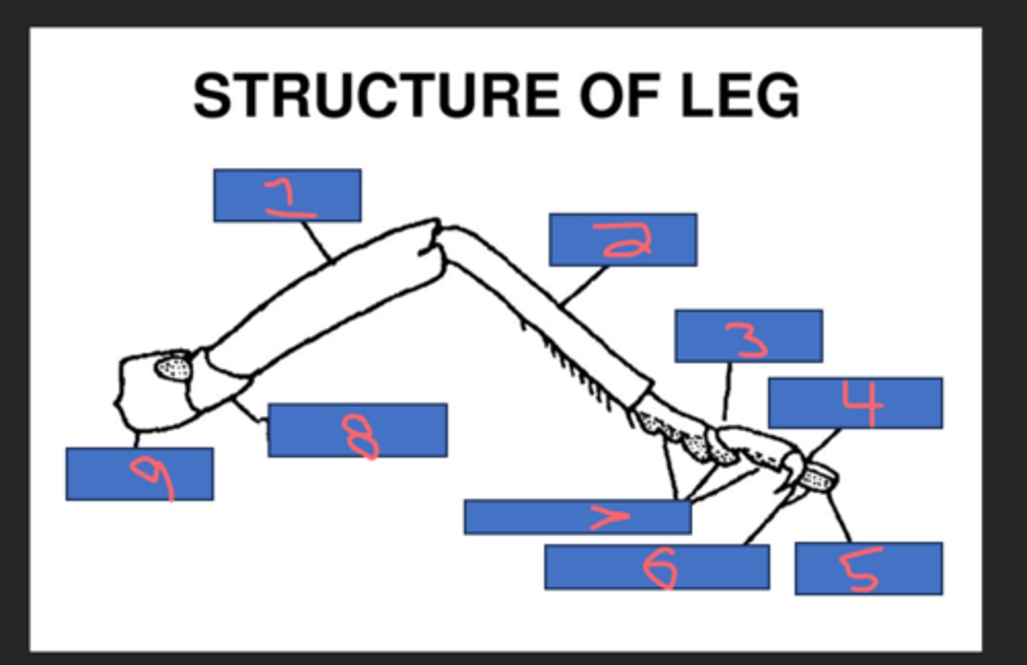 <p>(1)</p>