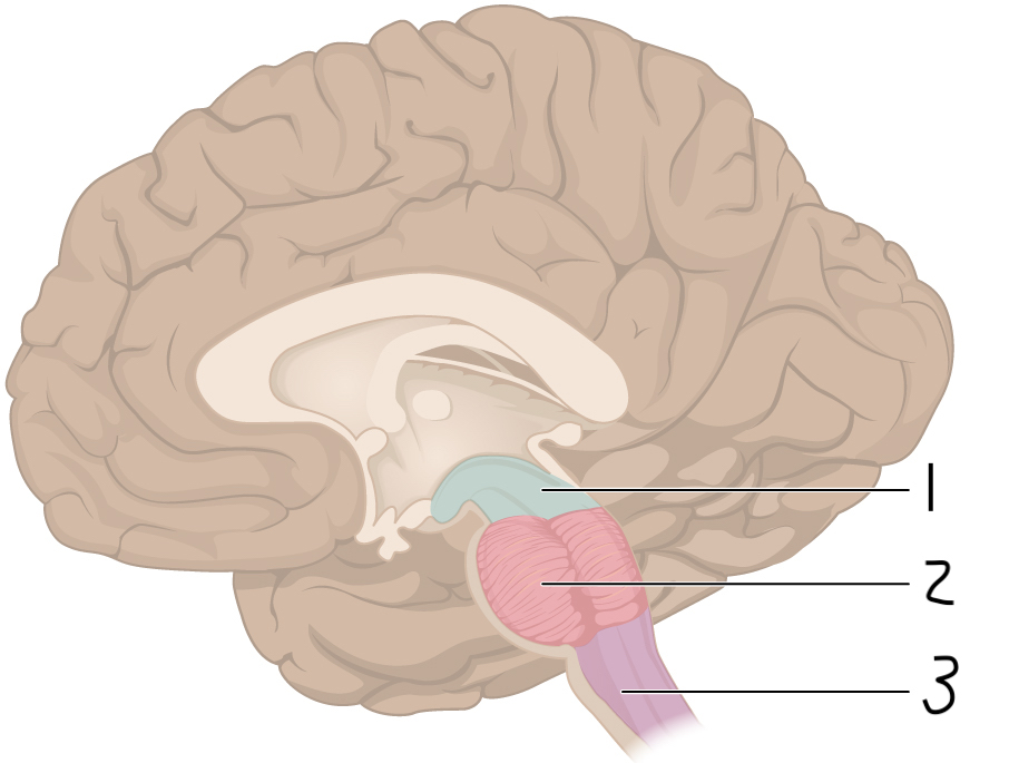 <p>2</p>