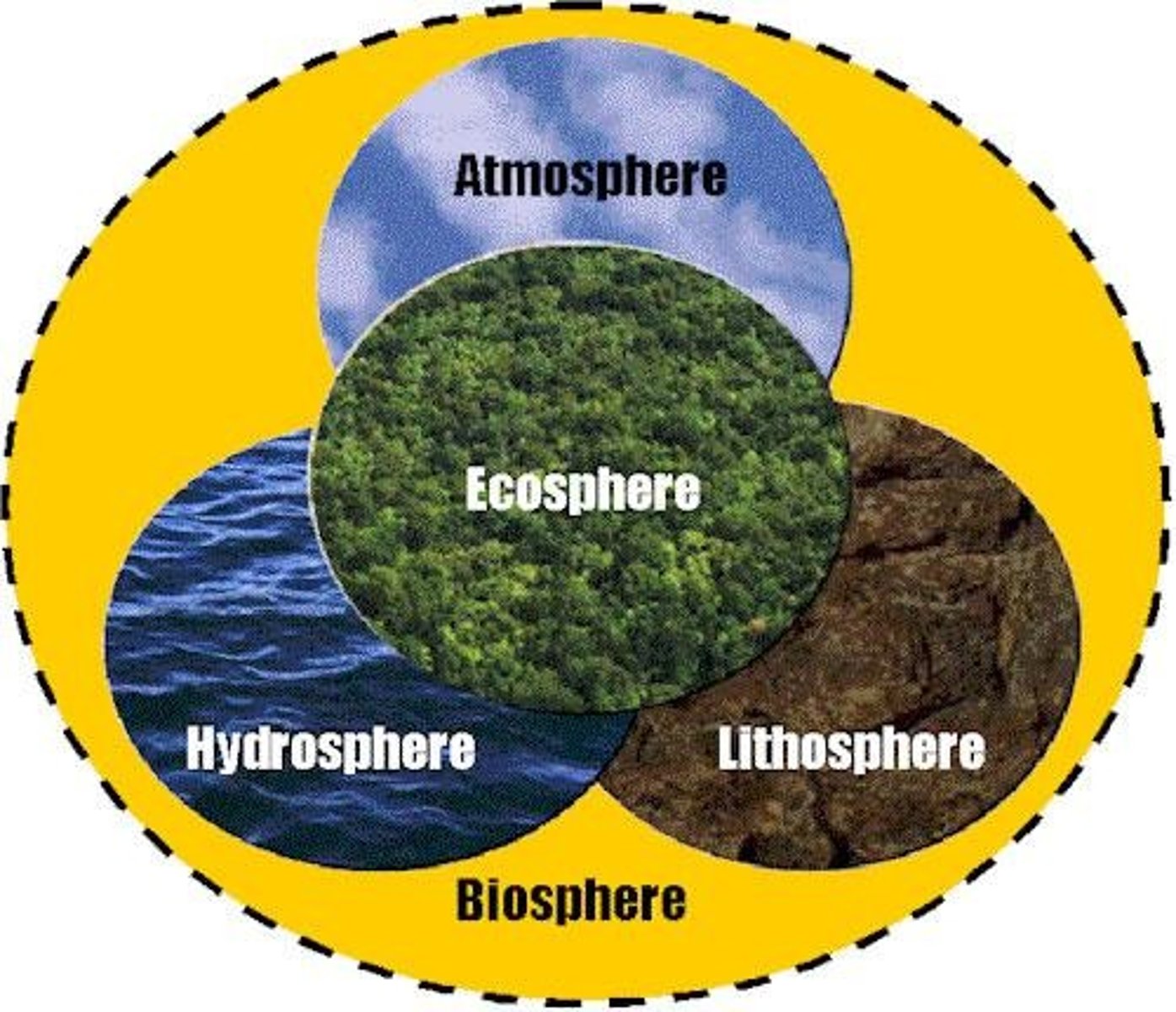 <p>Study of the biosphere and global processes.</p>