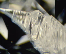 <p>What inclusion is this?</p>