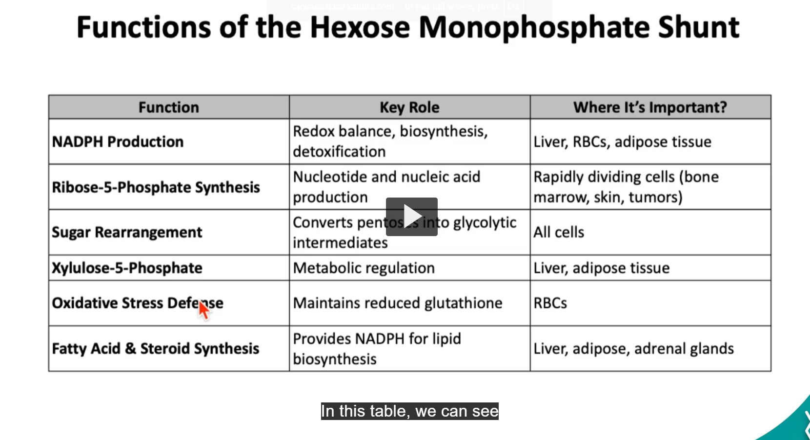 <p>the <strong>hexose monophosphate pathway</strong> has <strong>several key functions</strong> in <strong>cellular metabolism</strong>. Due its <strong>metabolic flexibility</strong>, it <strong>helps the cell produce energy</strong>, <strong>nucleotides</strong>, <strong>antioxidants</strong>, and <strong>lipids</strong> depending on its needs.</p><p>In this table, we can see a <em>detailed summary</em> of all the key functions of this pathway and where it is going to be important in the body.</p>