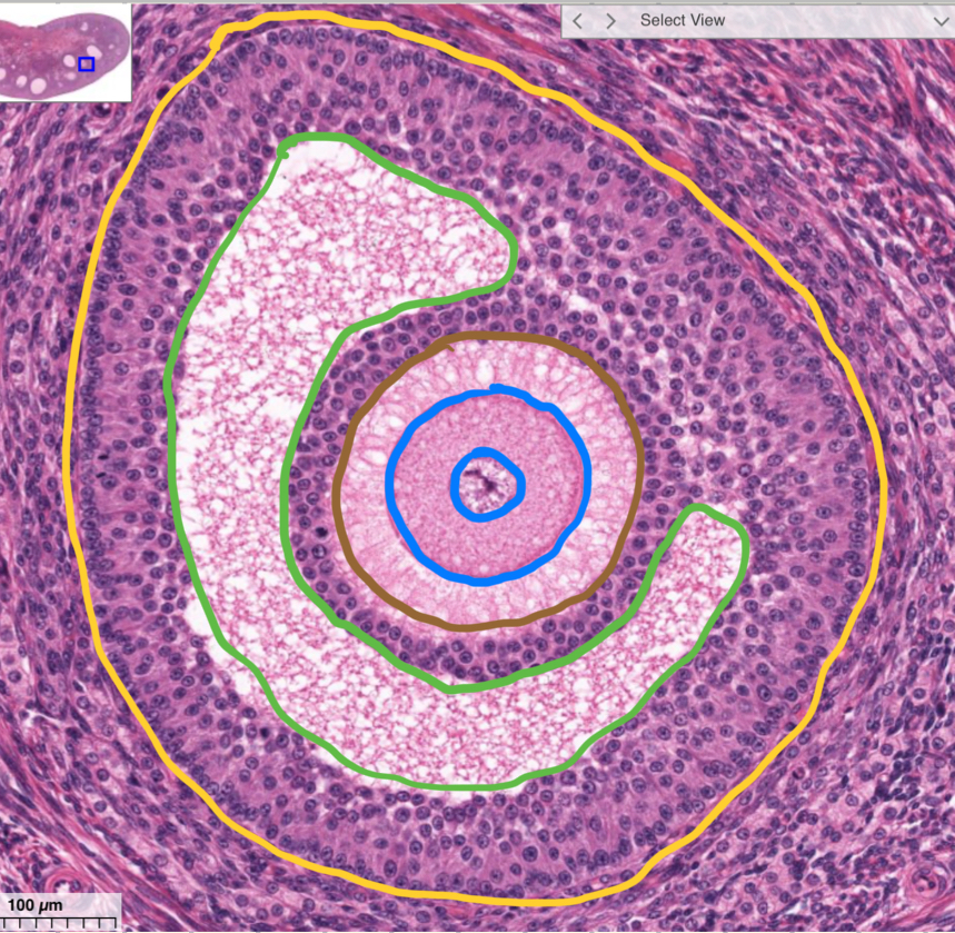 <p>What’s in brown?</p>