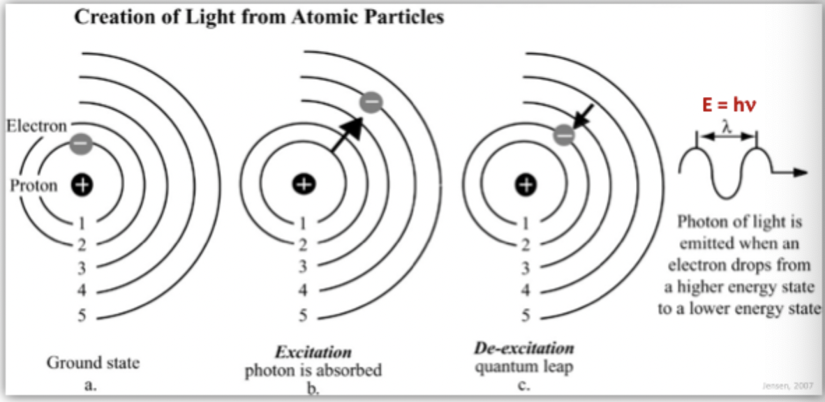<ul><li><p>photon of light is emitted when an electron drops from a higher energy state to a lower energy state</p><ul><li><p>Add energy = electrons will jump up and go up levels for 10 ^-8? Seconds then it will go back down to the next available level and release the enregy it had</p></li></ul></li></ul><p></p>