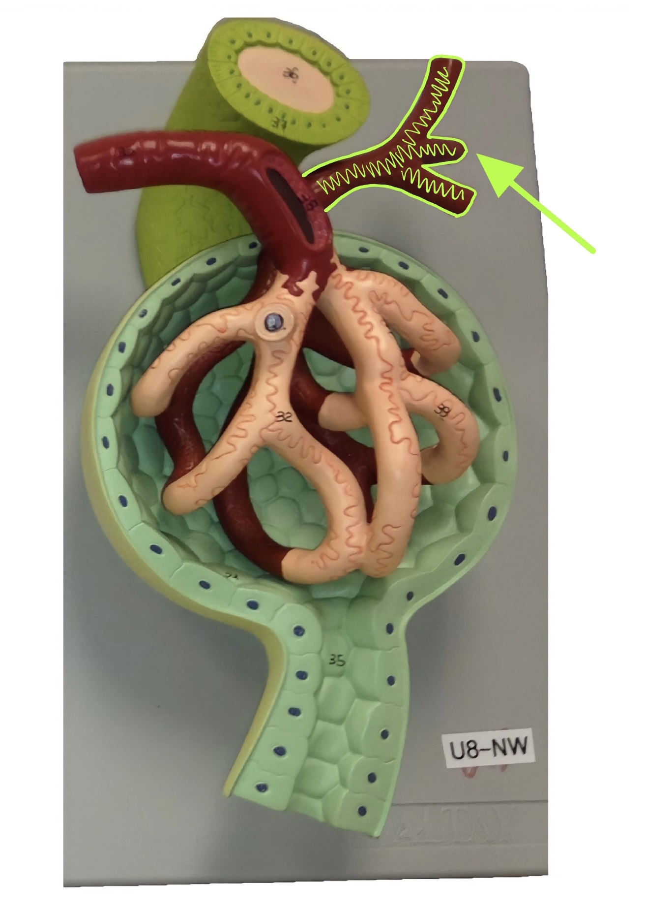 what is this?