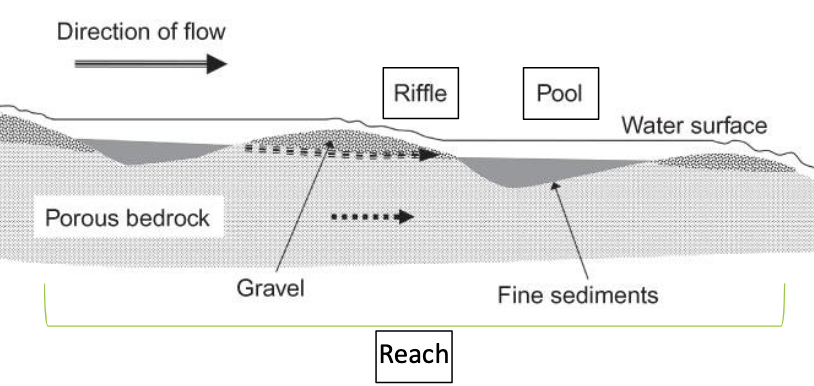<p>riffle: forms when water moves fast over boulder, gravel, or some structure<br>pool: when water slows down, finer sediments collect<br>run: intermediate between riffle and pool, smooth surface</p>