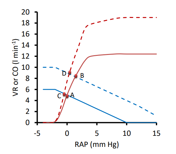 <p>What is happening A-B? (solid lines = without stimulation; dashed lines = with sympathetic stimulation)</p>