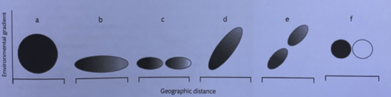 <p><span>For the associated Figure, pick the 3 plots (i.e., from choices a, b, c, d, e, and/or f) that best correspond to the answer choices below:</span></p><ul><li><p>isolated by distance</p></li><li><p>random mating population</p></li><li><p>fragmented cline</p></li></ul>